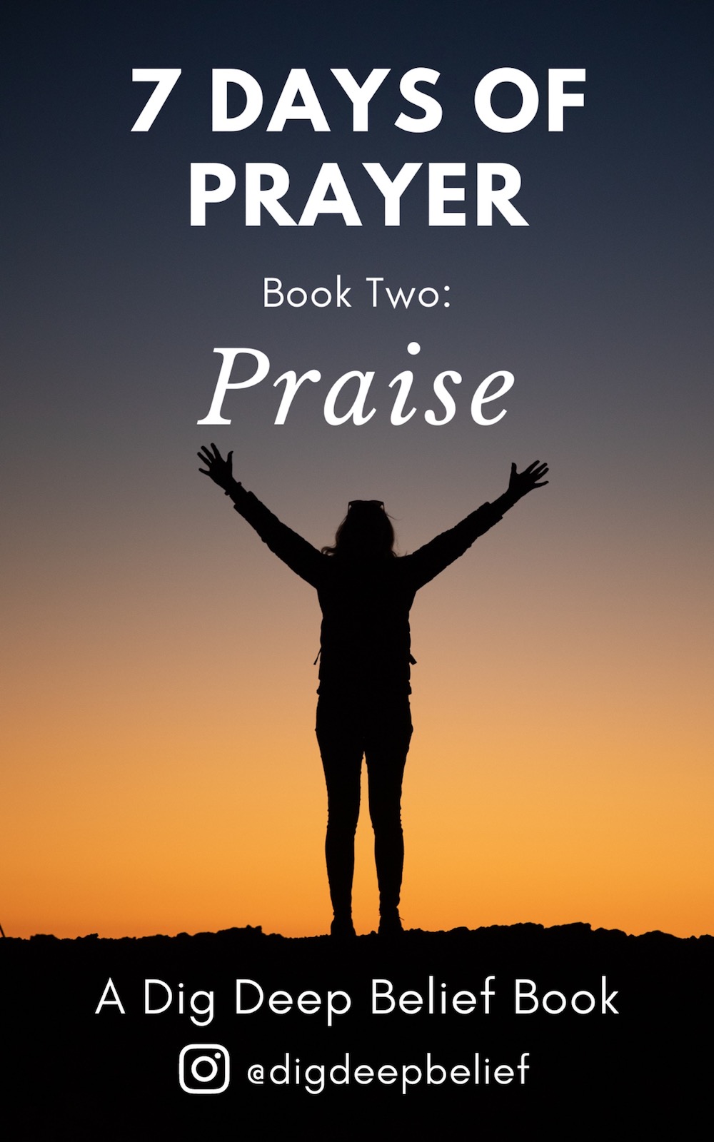 Book 2 cover - smaller